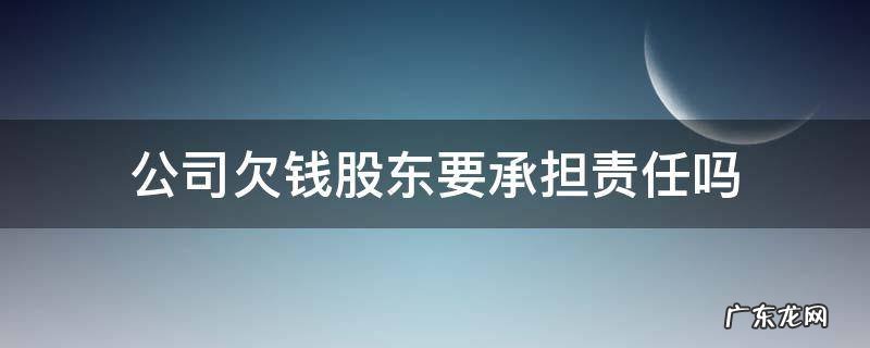 公司欠钱股东有责任吗 公司欠钱股东要承担责任吗