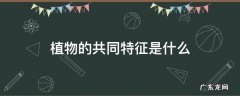植物的共同特征是什么 植物的共同特征是什么?