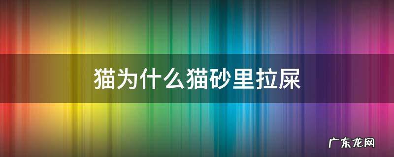 猫为啥要在猫砂里拉屎 猫为什么猫砂里拉屎