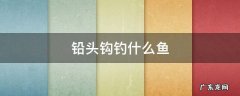 3.5克铅头钩钓什么鱼 铅头钩钓什么鱼