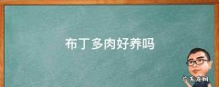 果冻布丁多肉好养吗 布丁多肉好养吗