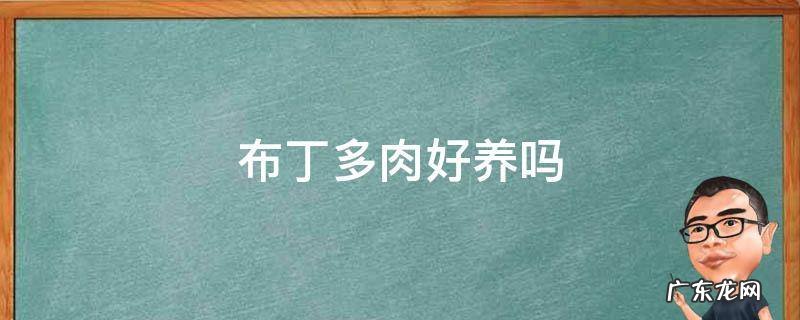果冻布丁多肉好养吗 布丁多肉好养吗