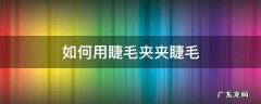 怎样用睫毛夹夹睫毛 如何用睫毛夹夹睫毛