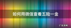 如何用微信查看五险一金 微信如何查询五险一金