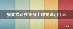 猫喜欢趴在我身上睡觉说明什么 猫咪喜欢趴在主人身边睡觉说明什么