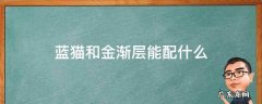 蓝金渐层配什么猫好 蓝猫和金渐层能配什么
