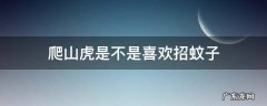 爬山虎招惹蚊虫吗 爬山虎是不是喜欢招蚊子
