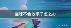 猫咪不会收爪子怎么办 猫为什么不收爪子