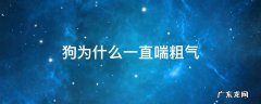 狗为什么一直喘粗气吐舌头 狗为什么一直喘粗气