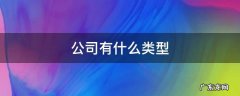 公司有什么类型 注册公司有什么类型