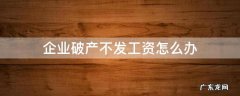 企业破产不发工资怎么办 公司破产不发工资怎么办