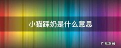 小猫踩奶是什么意思 猫猫的踩奶是什么意思