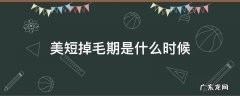 美短掉毛期是什么时候 美短几月份掉毛