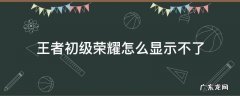 王者初级荣耀怎么显示不了 王者荣耀如何在主页显示初等荣耀
