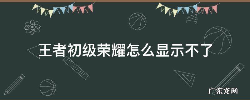 王者初级荣耀怎么显示不了 王者荣耀如何在主页显示初等荣耀