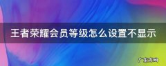 王者荣耀会员等级怎么设置不显示 王者荣耀会员等级怎么设置不显示头像