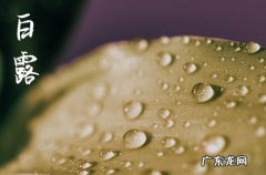 白露时节几月几日