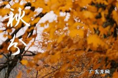 2023秋分时节几月几日