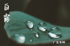 2023白露节气的特点
