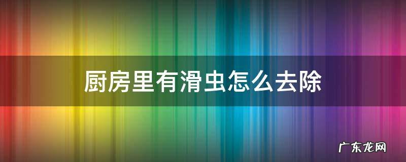 厨房里有滑虫怎么去除掉它 厨房里有滑虫怎么去除