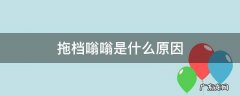 拖档时发动机抖动异响 拖档嗡嗡是什么原因