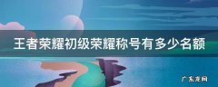 王者荣耀初级称号最多几个 王者荣耀初级荣耀称号有多少名额