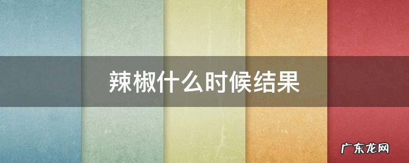 自己种的辣椒什么时候结果 辣椒什么时候结果