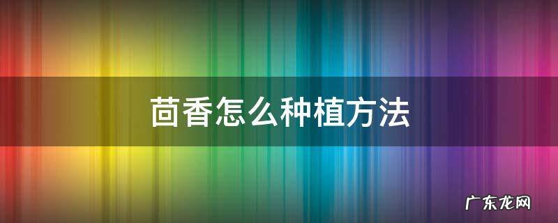 茴香怎么种植方法 茴香如何种植方法