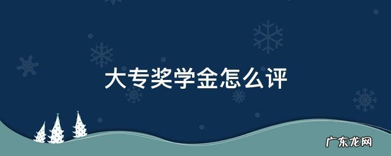 大专奖学金怎么评 大专奖学金怎么评定