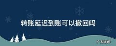 银行卡转账延迟到账可以撤回吗 转账延迟到账可以撤回吗