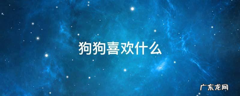 狗狗喜欢什么样的玩具 狗狗喜欢什么