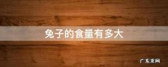 兔子的食量相当惊人一只兔子每天能吃多少 兔子的食量有多大