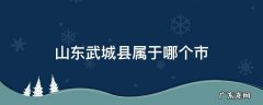 山东省武城县是哪个市 山东武城县属于哪个市