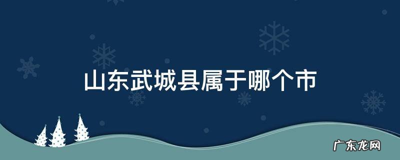 山东省武城县是哪个市 山东武城县属于哪个市