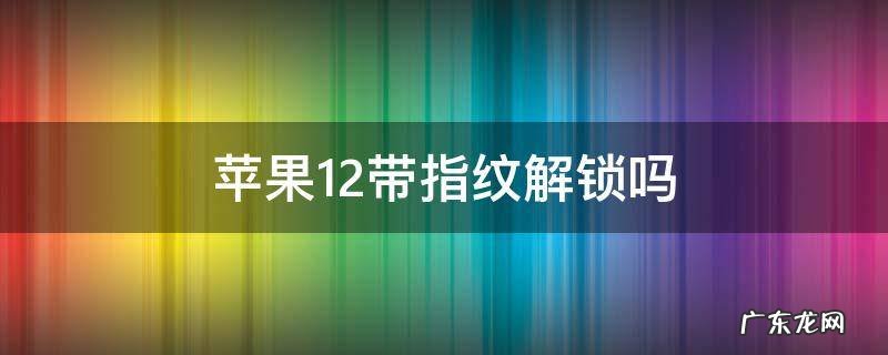 苹果12带指纹解锁吗 苹果手机12带指纹解锁吗