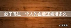 蚊子喝过一个人的血后还能活多久 蚊子喝过一个人的血后还能活多久呀