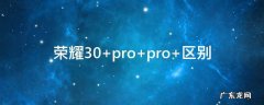 荣耀30 pro pro+区别