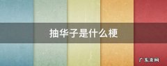 抽华子是什么梗? 抽华子是什么梗