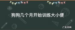 小狗几个月可以训练大小便 狗狗几个月开始训练大小便