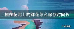 插在花泥上的鲜花怎么保存时间长 插在花泥上的鲜花养护