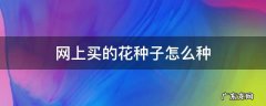 网上买的花种子怎么种 怎样买花种子