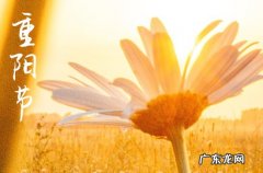 2023年重阳节这天开业好不好 2023年重阳节是不是招财的吉日