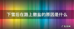 下雪后在路上撒盐的原因是什么引起的 下雪后在路上撒盐的原因是什么