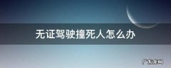 无证驾驶撞死人怎么办 无证驾驶撞人怎么处理