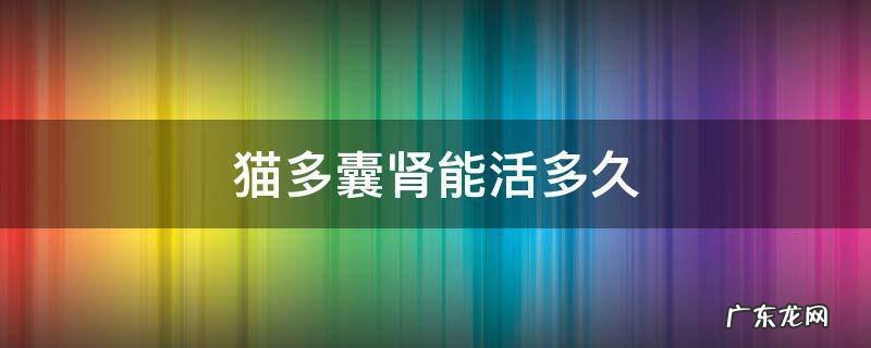 猫多囊肾能活多久 猫多囊肾还能活多久