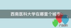 西南医科大学在哪里个城市 西南医科大学在哪里