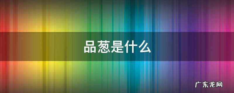品葱是什么