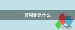 苏周到是什么 苏周到是什么意思