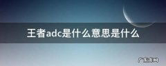 王者adc是什么意思是什么 王者荣耀adc什么意思