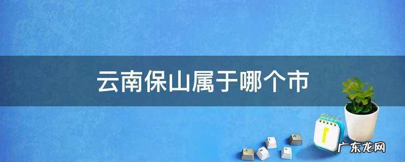 云南保山是属于哪个市 云南保山属于哪个市
